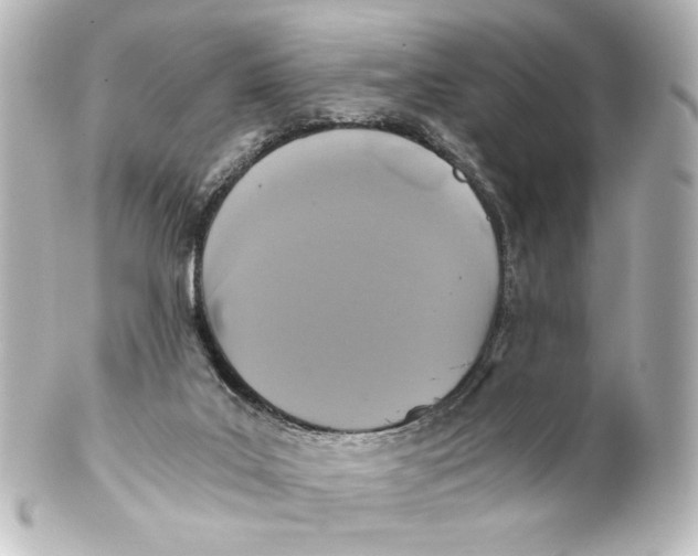 X0000101430019200807281010