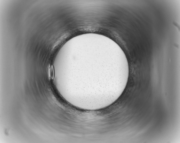 X0000101430020200807281010