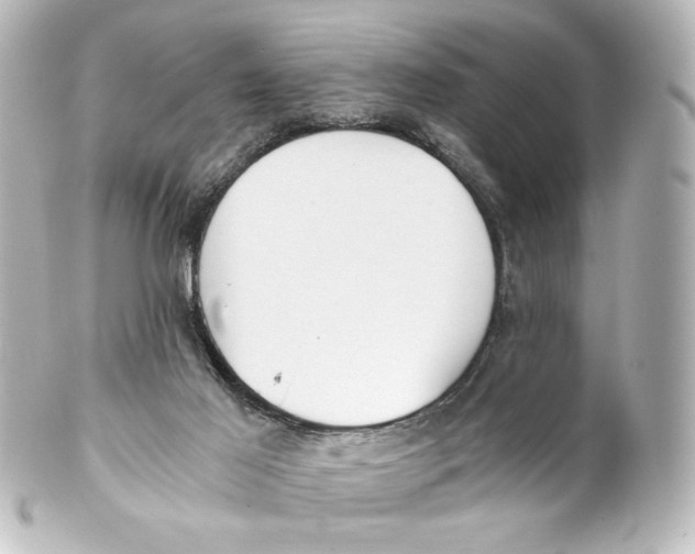 X0000101430021200807281010