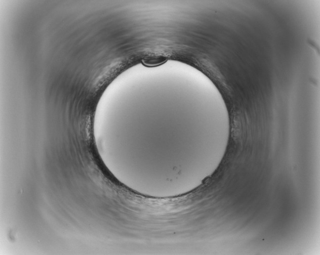 X0000101430023200807281010