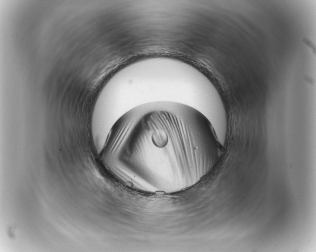 X0000101430024200807281010