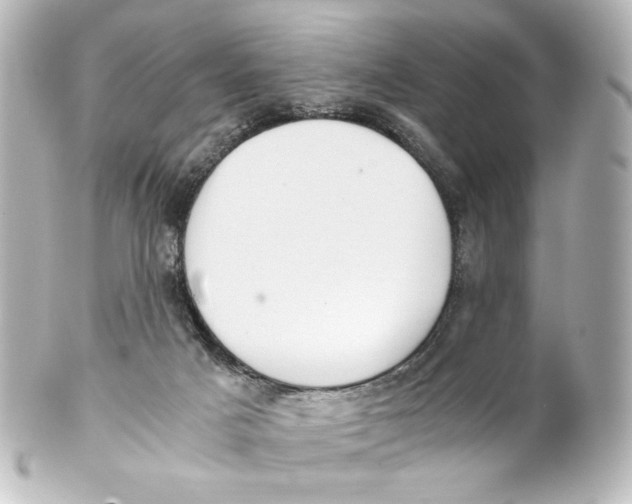 X0000101430025200807281010