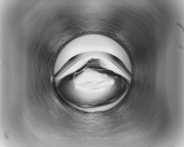 X0000101430028200807281010