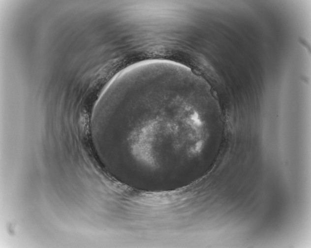 X0000101430029200807281010