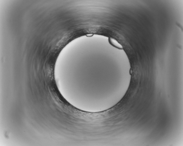 X0000101430031200807281010