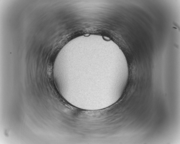 X0000101430033200807281010