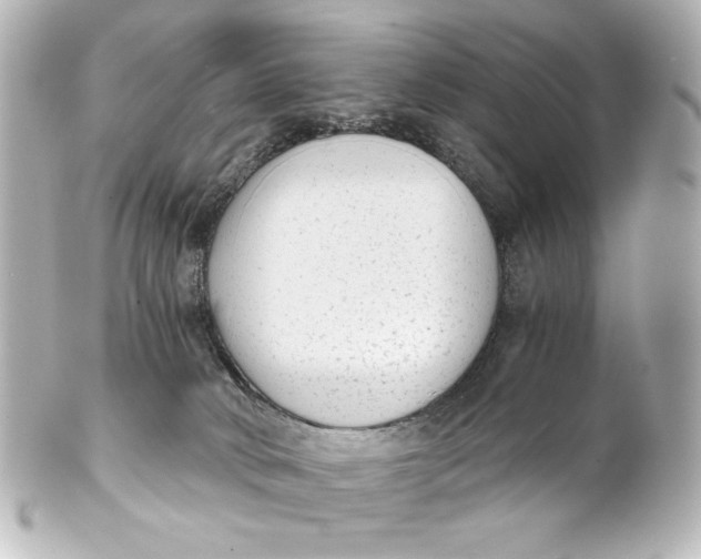 X0000101430034200807281010