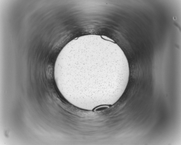 X0000101430036200807281010