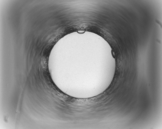 X0000101430037200807281010