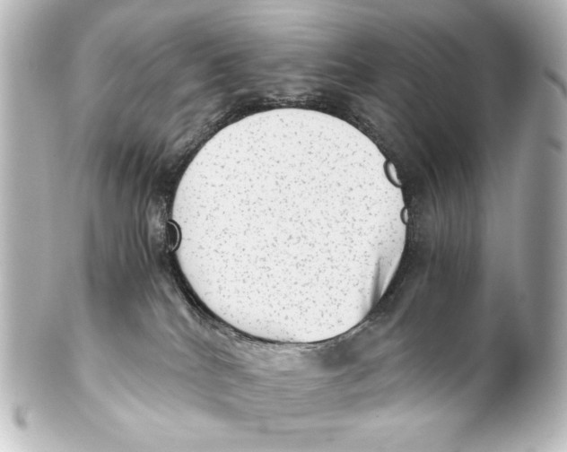 X0000101430040200807281010