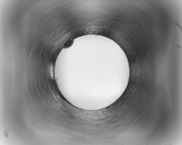 X0000101430042200807281010