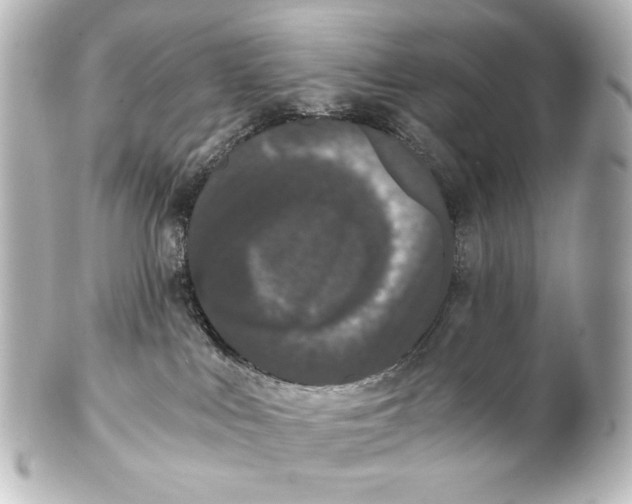 X0000101430043200807281010