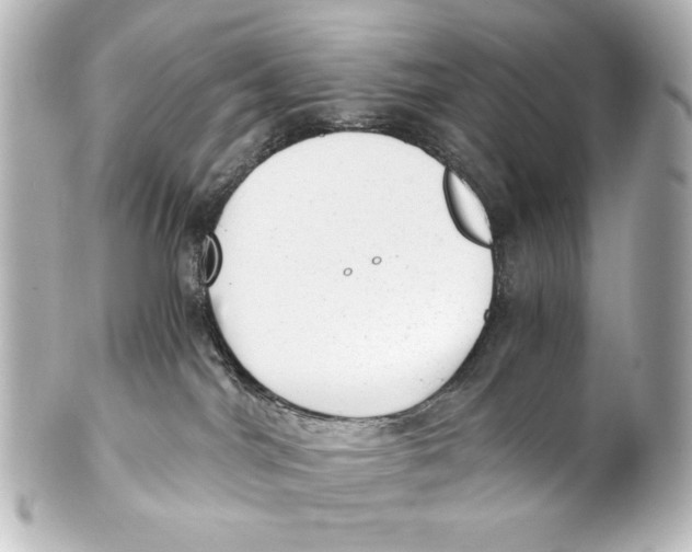 X0000101430044200807281010