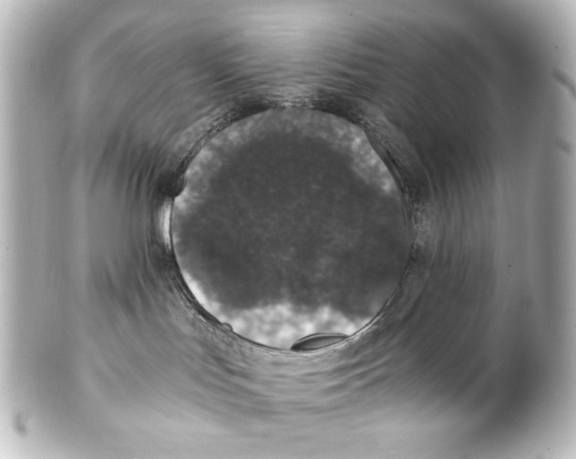 X0000101430047200807281010