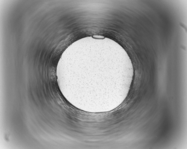 X0000101430048200807281010