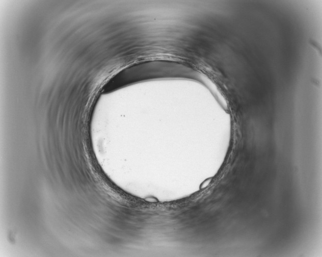 X0000101430049200807281009