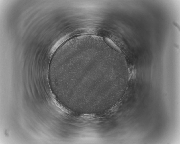 X0000101430051200807281009