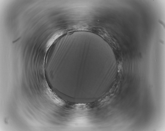 X0000101430052200807281009