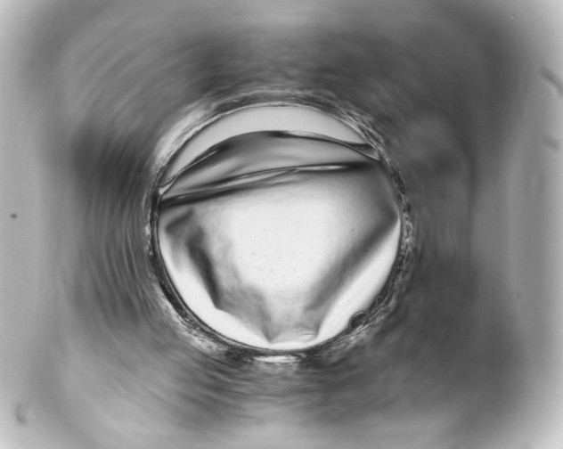 X0000101430053200807281009