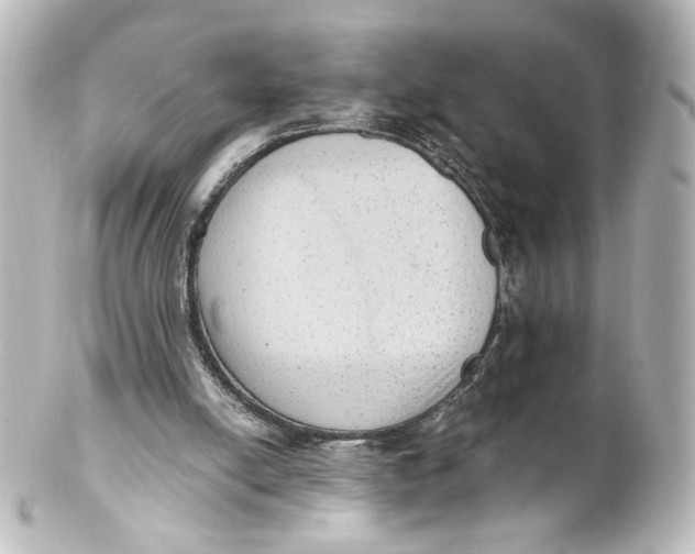 X0000101430054200807281010