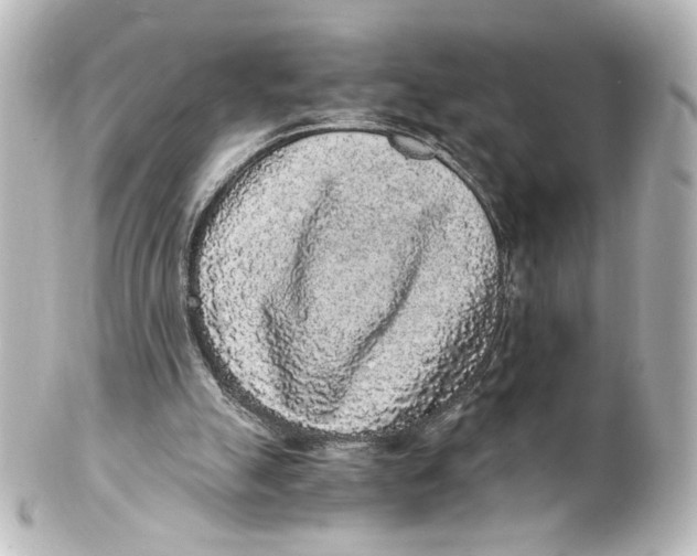 X0000101430055200807281010