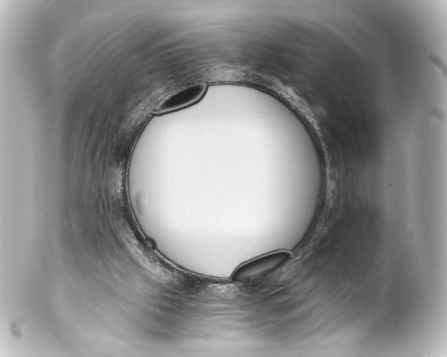 X0000101430057200807281010