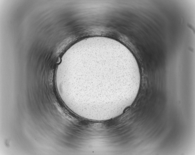 X0000101430058200807281010