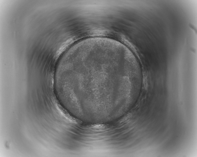 X0000101430059200807281010