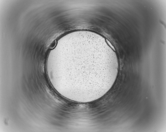 X0000101430060200807281010