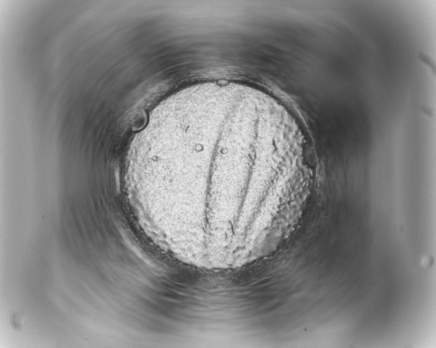 X0000101430061200807281010