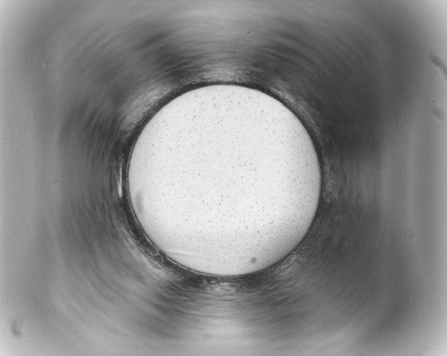 X0000101430062200807281010