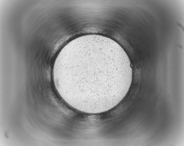 X0000101430064200807281010