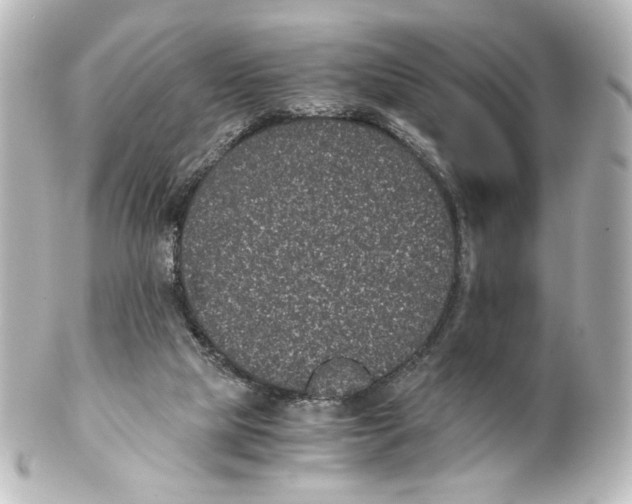 X0000101430065200807281010