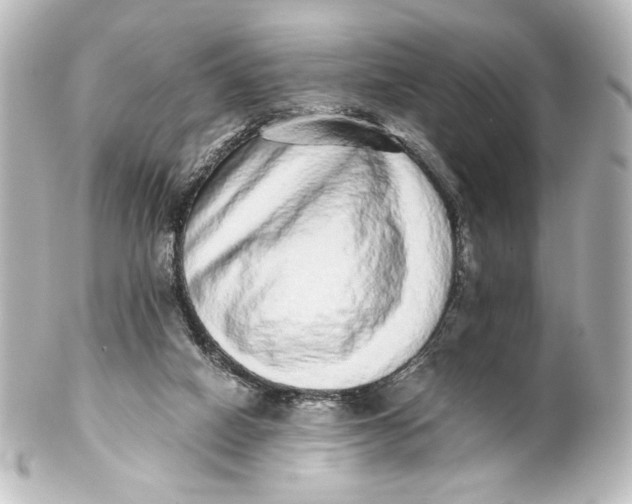 X0000101430066200807281010