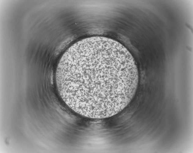 X0000101430068200807281010