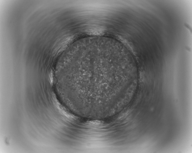 X0000101430069200807281010