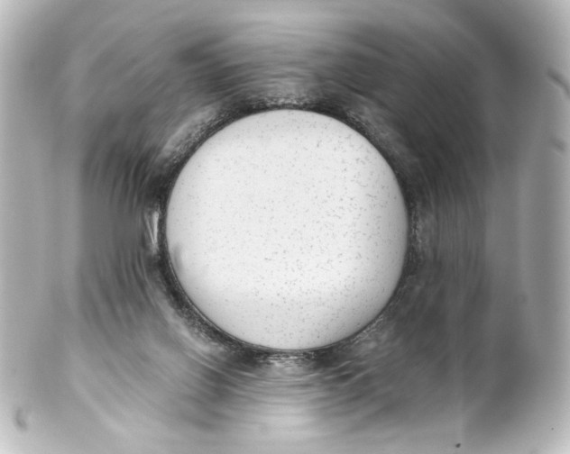 X0000101430070200807281010