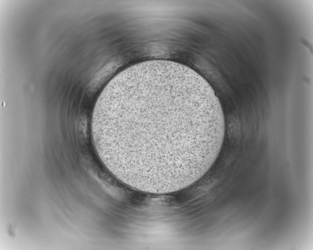 X0000101430072200807281010