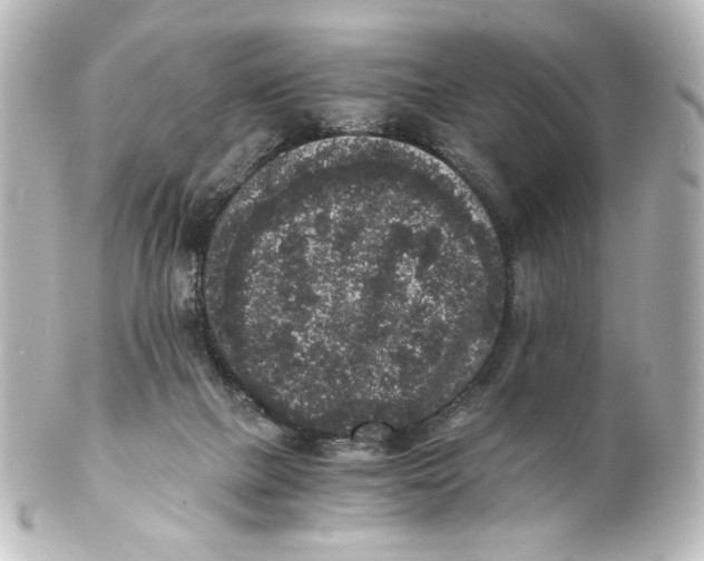 X0000101430073200807281010