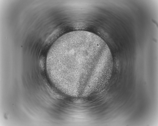 X0000101430074200807281010