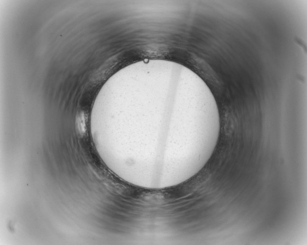 X0000101430075200807281010