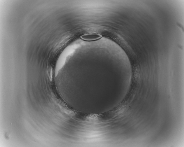 X0000101430076200807281010