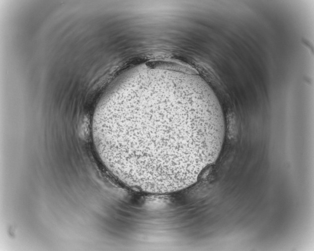 X0000101430077200807281010