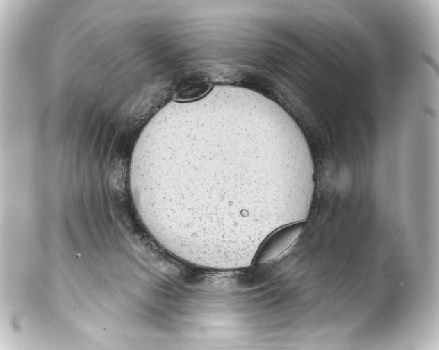 X0000101430078200807281010