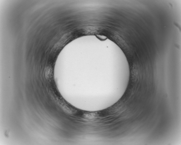 X0000101430079200807281010