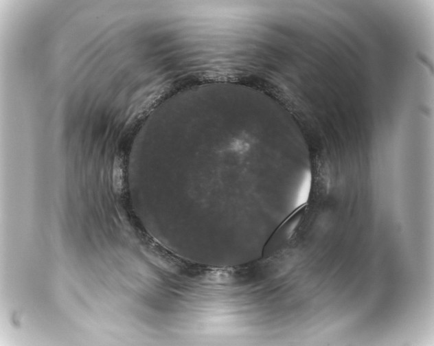 X0000101430080200807281010