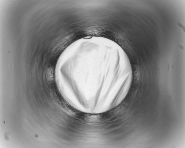 X0000101430081200807281010