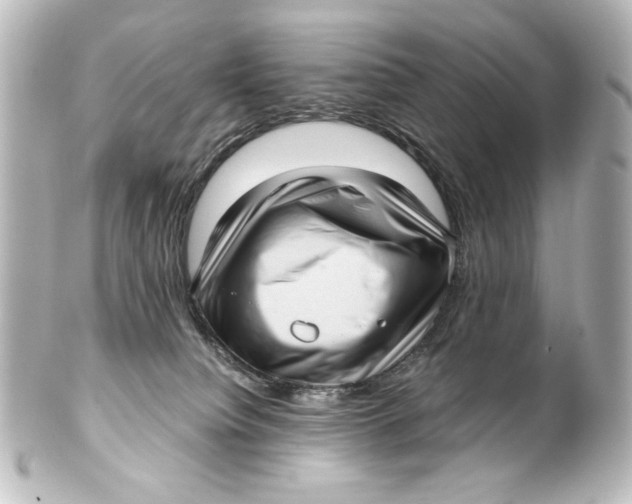 X0000101430084200807281010