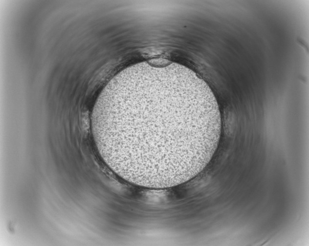 X0000101430085200807281010