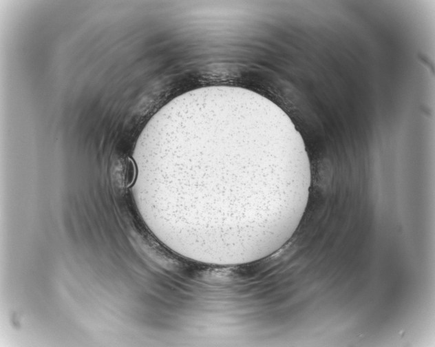 X0000101430086200807281010